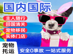 二连浩特赛乌素航空空运国际宠物托运 【国
